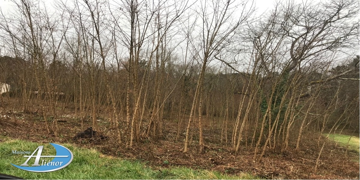 Vue du terrain de 2 570 m² à vendre dans la commune de Maurens, proposé par Maisons Aliénor.