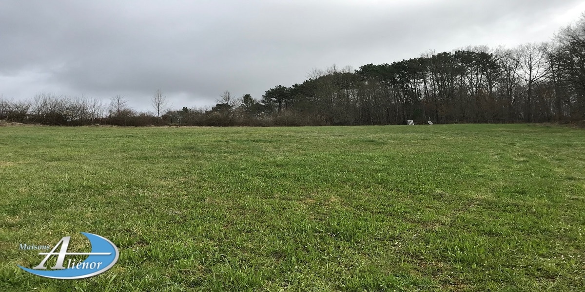 Terrain de 2 250 m² à Liorac-sur-Louyre, cadre calme, à 20 min de Bergerac et proche des commodités.