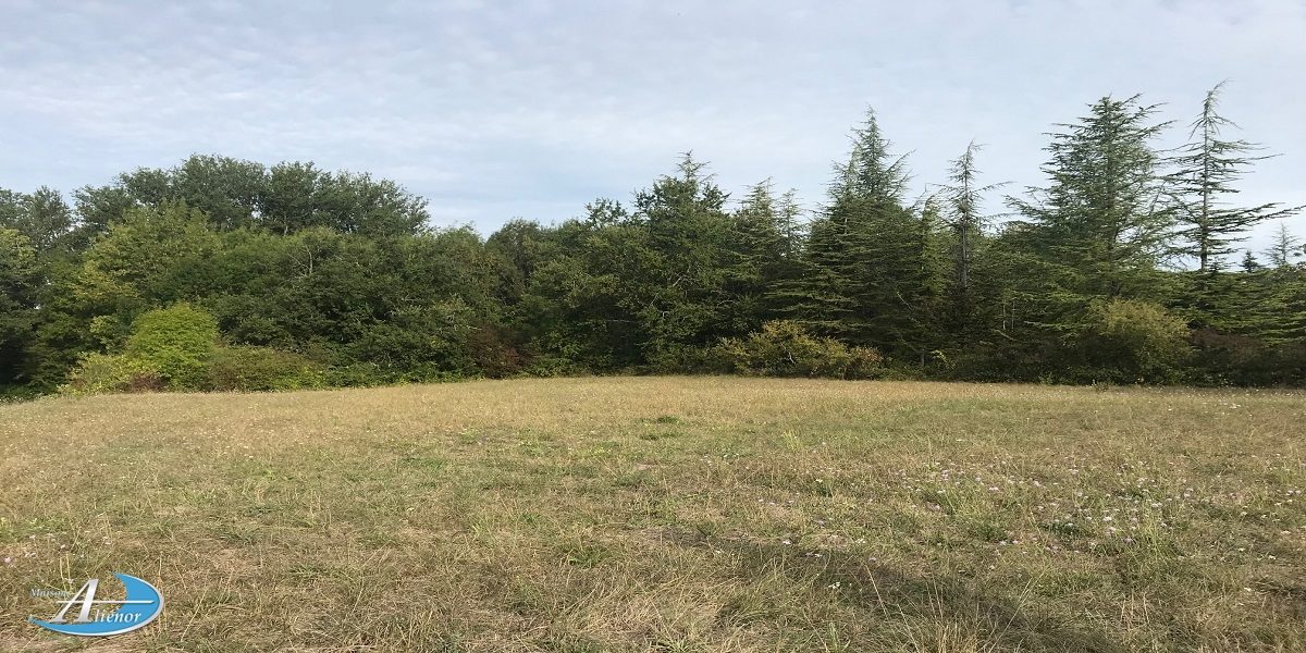 Vue panoramique d'un terrain constructible verdoyant de 1 378 m², paysage rural calme avec végétation et horizon dégagé, situé à proximité de Bergerac