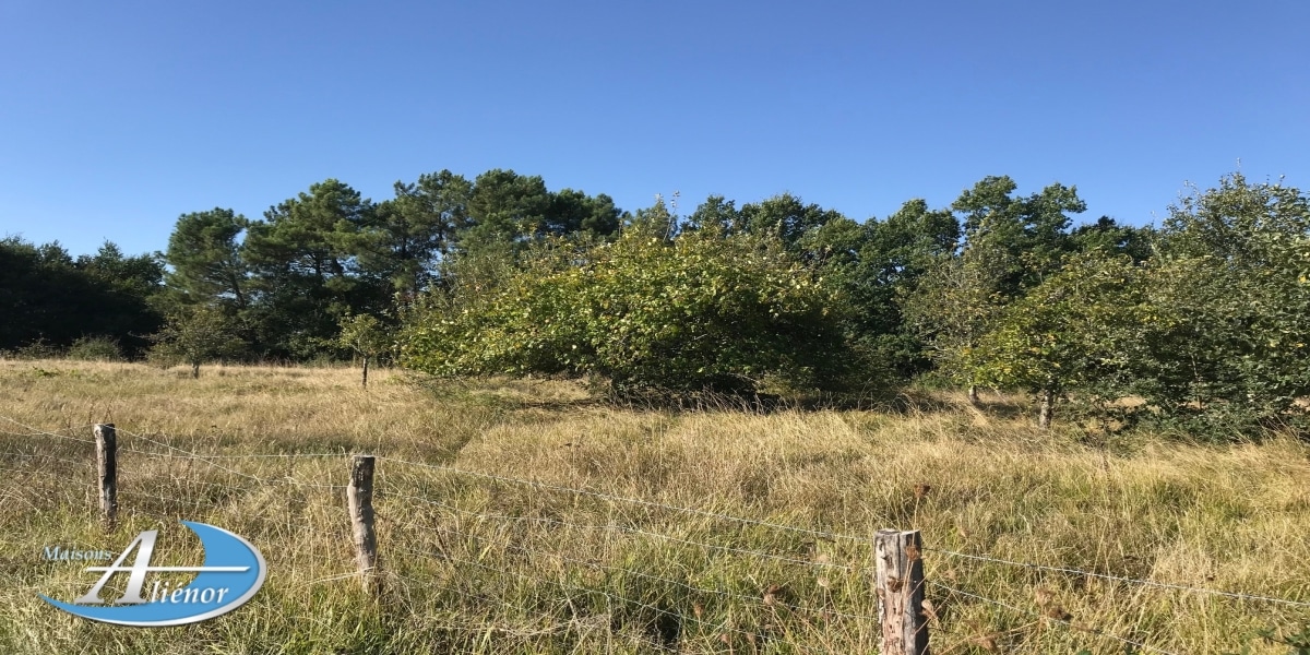 Vue du terrain de 2 800 m² situé dans la commune de Maurens, à 15 minutes de Bergerac, proposé à la vente par Maisons Aliénor.