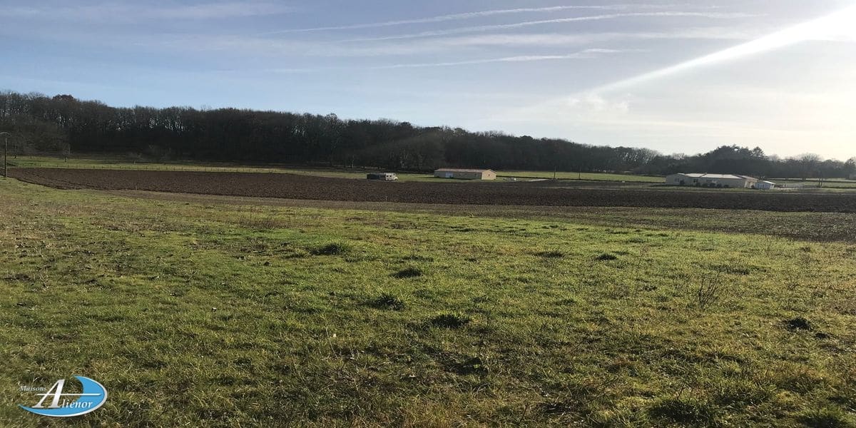 Terrain de 1 507 m² à Lalinde, à 30 min de Bergerac. Calme et cadre idéal pour construire votre maison.