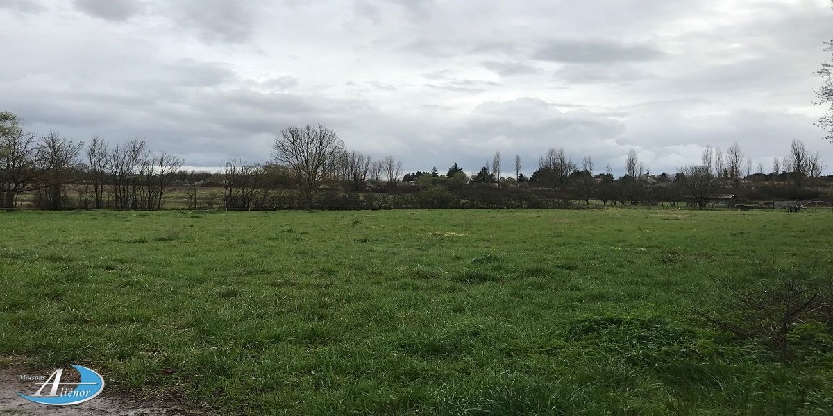 Magnifique terrain de 1 300 m², situé à seulement 20 minutes de Bergerac, dans un environnement calme et naturel.