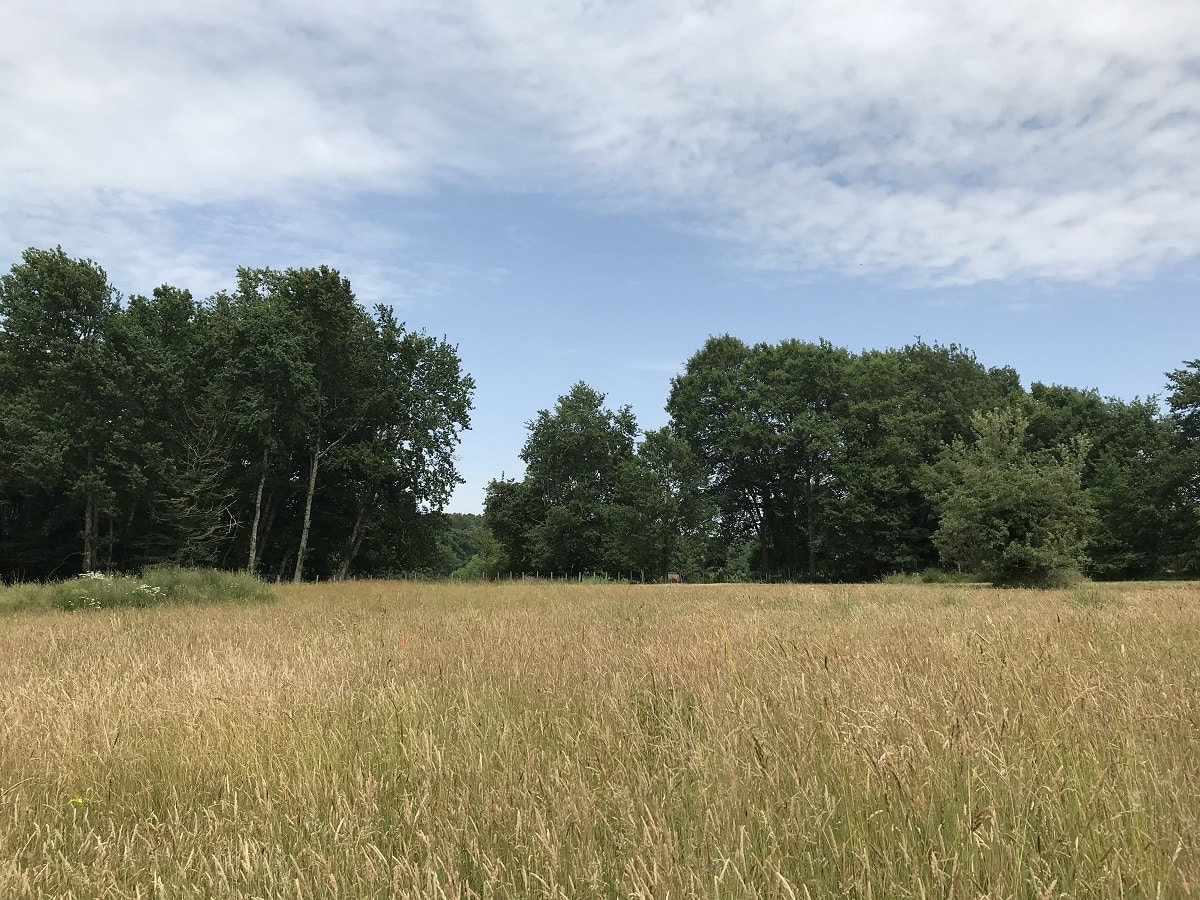 Vue du terrain de 1 700 m² situé dans la commune de Maurens, à 15 minutes de Bergerac, proposé à la vente par Maisons Aliénor.