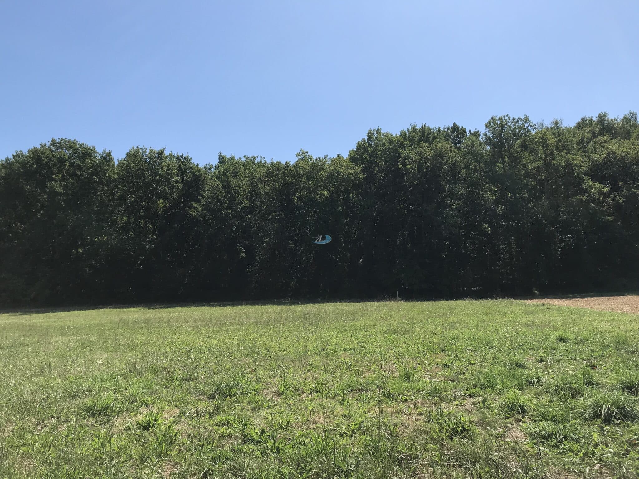 Terrain de 1 500 m², idéalement situé à seulement 20 minutes de Bergerac. Profitez d'un cadre calme et paisible, tout en étant proche des commodités et de la ville.