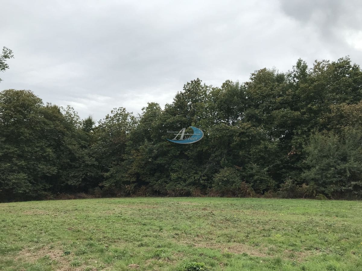 Terrain rural de 3 509 m² à Pressignac-Vicq, paysage périgordin avec végétation verdoyante.