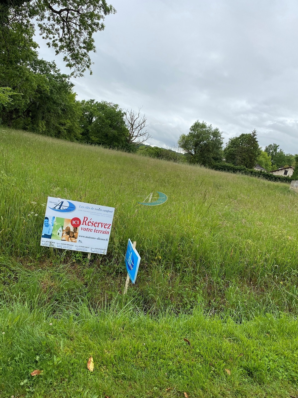 Vue panoramique d'un terrain verdoyant de 1 800 m² avec perspective sur un paysage rural vallonné, bordé d'arbres matures, offrant un potentiel de construction avec horizon dégagé