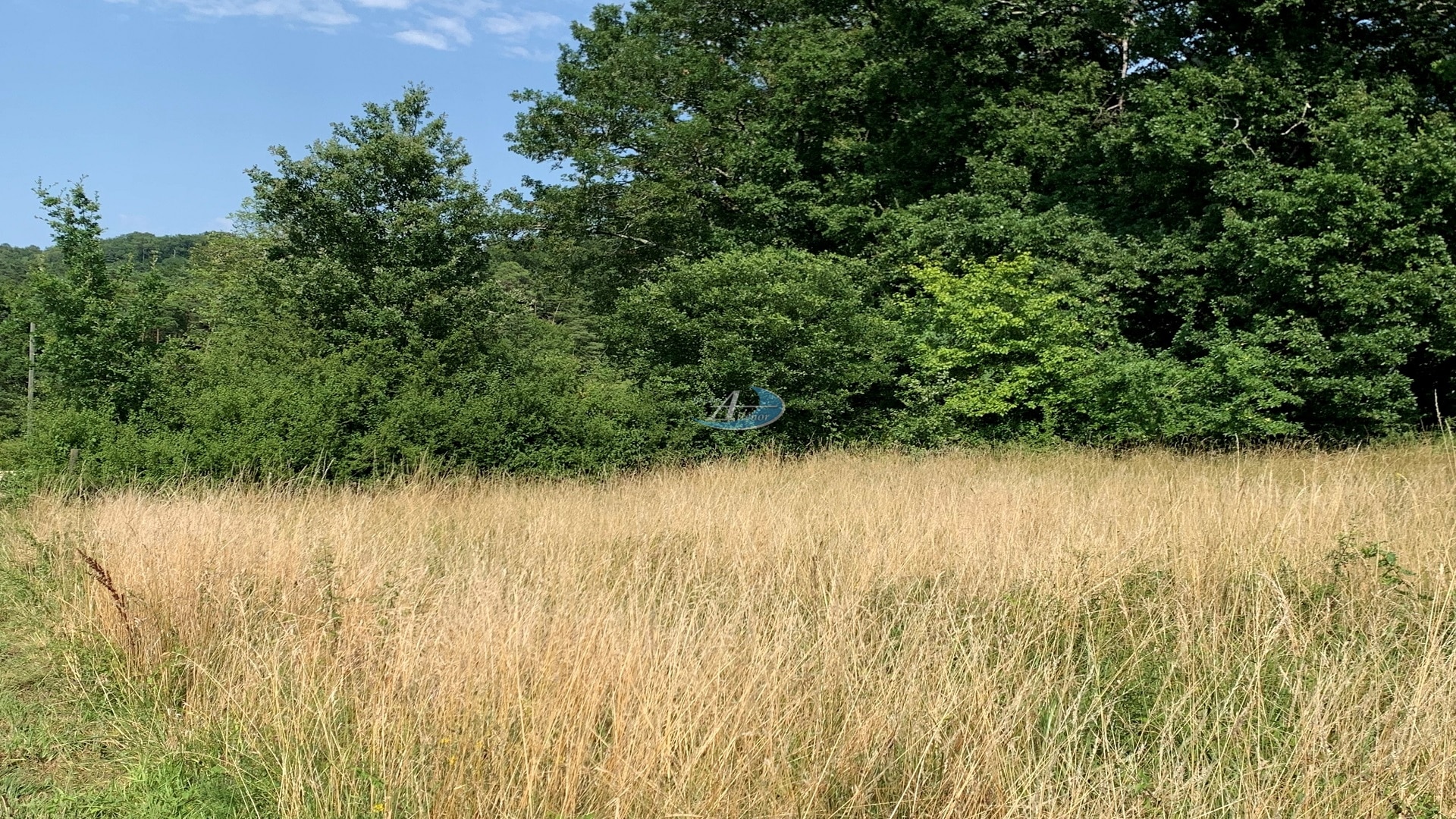 Terrain à vendre à Champcevinel, constructible, situé dans une impasse, au cœur d’un village charmant, à proximité des écoles, commerces et commodités, aux portes de Périgueux.