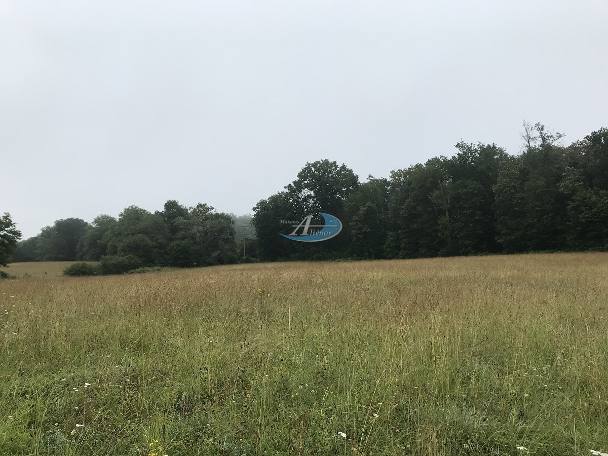 Terrain de 2 334 m² à Liorac-sur-Louyre, cadre paisible et idéal, à 20 min de Bergerac. Parfait pour votre projet de construction.