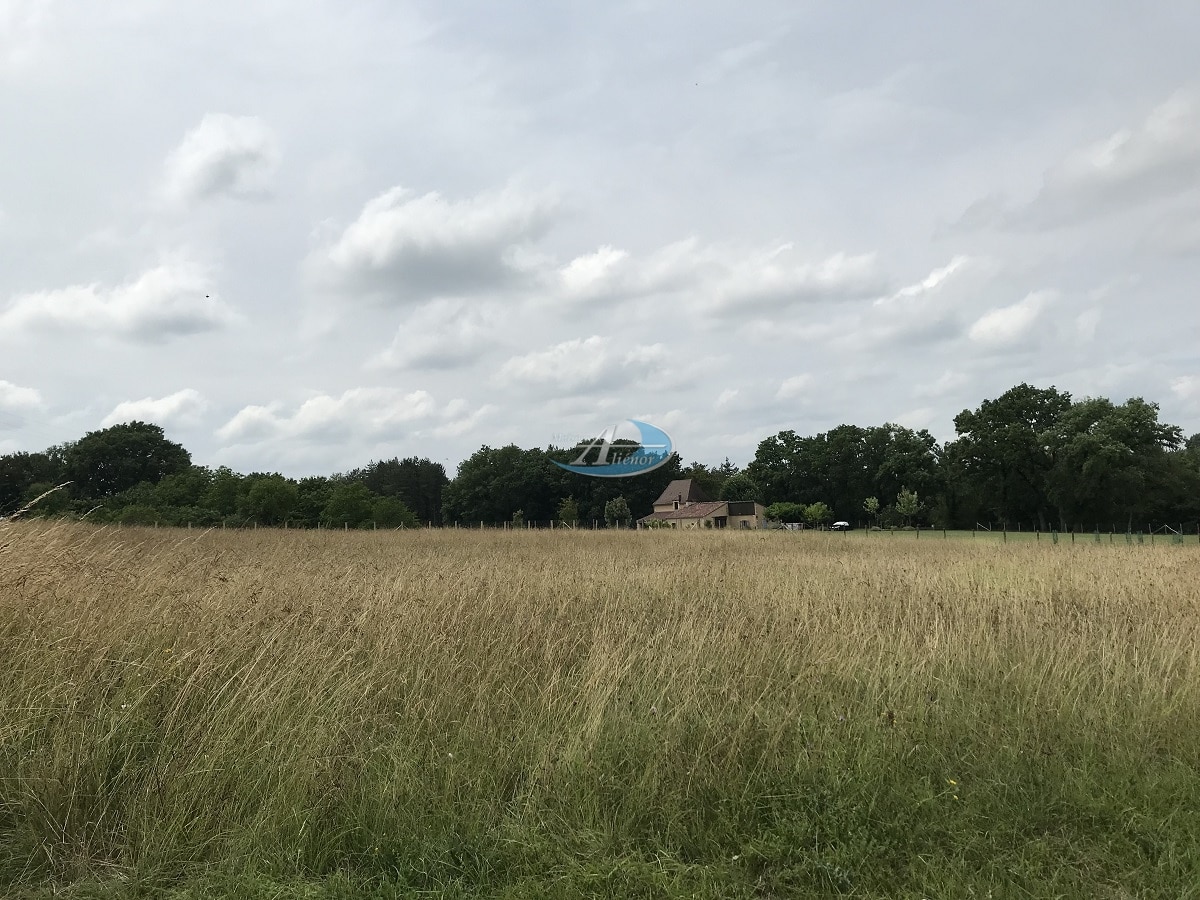 Terrain rural de 1 500 m² à Pressignac-Vicq, paysage périgordin avec végétation naturelle
