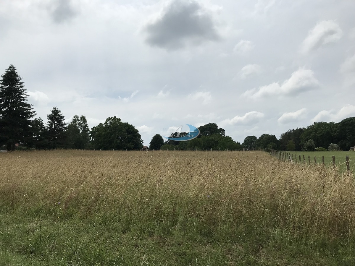 Terrain de 3 000 m² situé à Pressignac-Vicq, entouré de verdure et de paysages ruraux, avec une perspective dégagée sur la campagne périgourdine