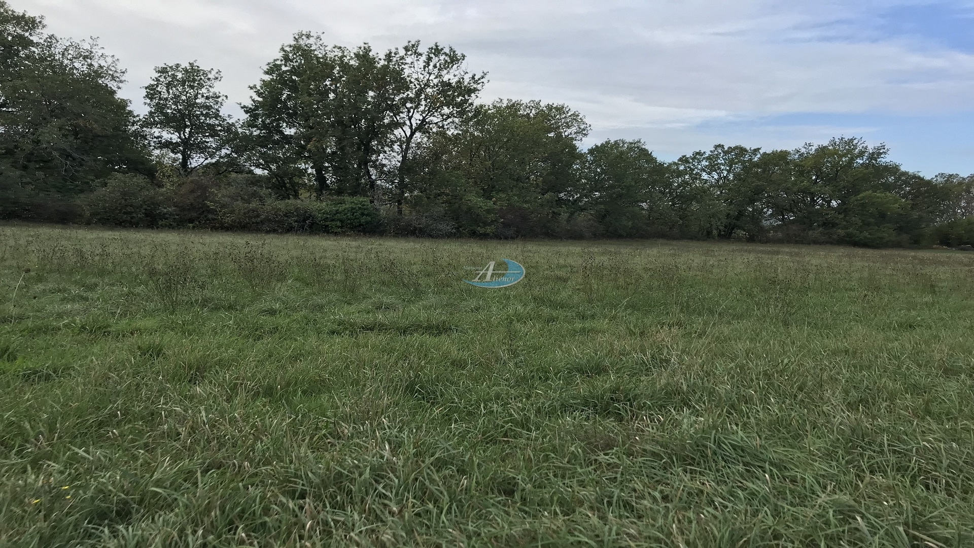 Terrain plat de 1 745 m² constructible, au cœur d’un village calme et proche du bourg. Idéal pour votre projet.