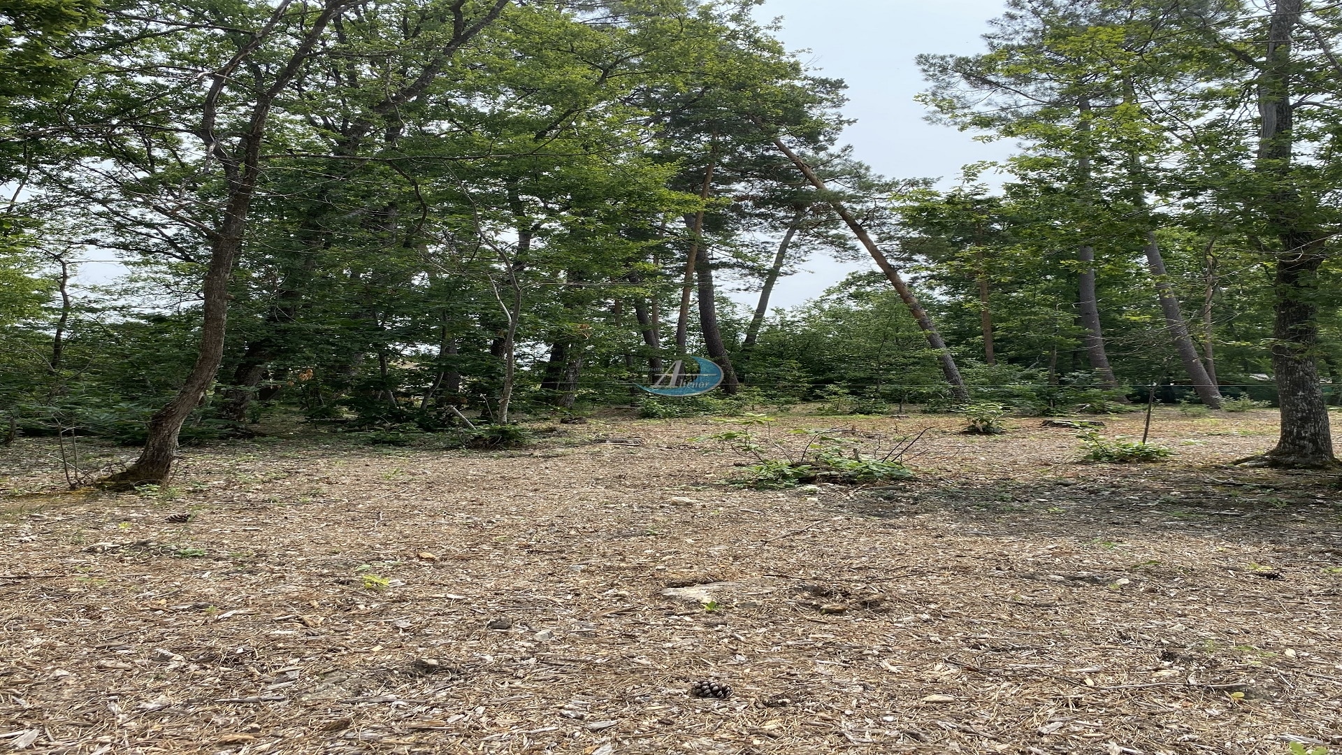 Terrain à vendre à Marsac sur Lisle de 900 m², situé sur les hauteurs de Beaulieu, à proximité du centre commercial Auchan et d’un arrêt de bus. Environnement calme et verdoyant, idéal pour votre projet.