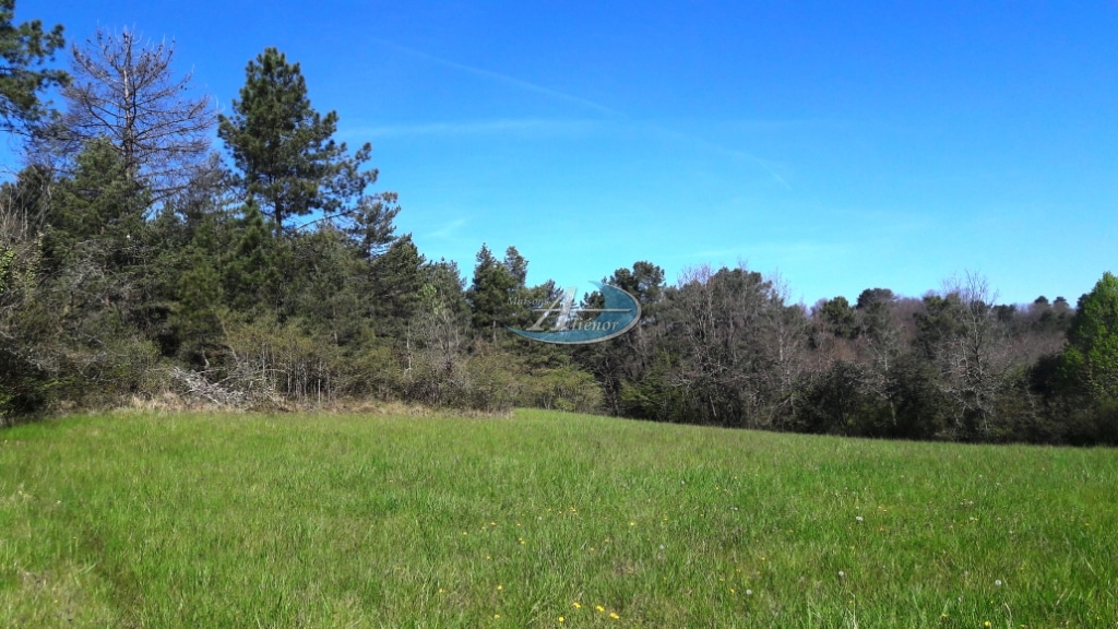 Terrain plat d'environ 1 200 m², situé à Proissans, proche des commerces et à quelques minutes de Sarlat. Exposé sud, offrant une orientation idéale pour une construction conforme à la norme RE2020.