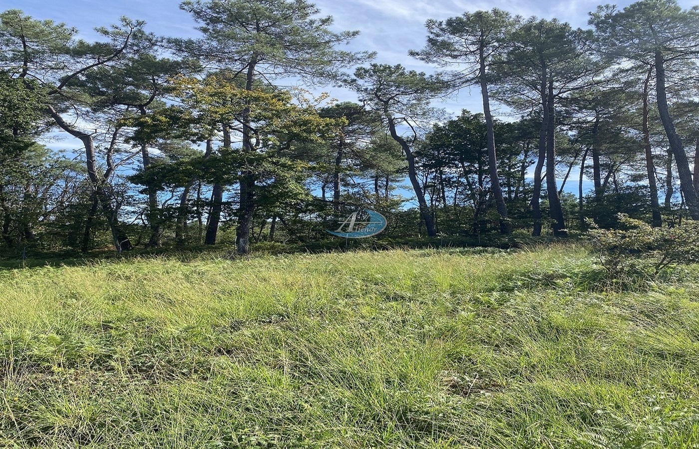 Terrain constructible de 930 m², situé dans un charmant village, proche des commodités. Cadre champêtre avec une vue imprenable, idéal pour votre projet.