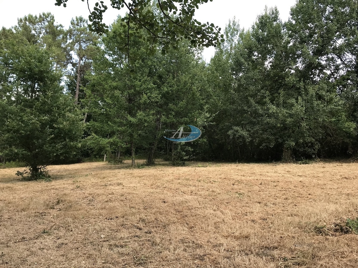 Découvrez ce terrain constructible de 877 m² situé à Prigonrieux, à proximité de Bergerac. Un emplacement idéal, calme et ensoleillé, parfaitement raccordable au tout à l'égout, offrant toutes les commodités pour réaliser votre projet de construction.