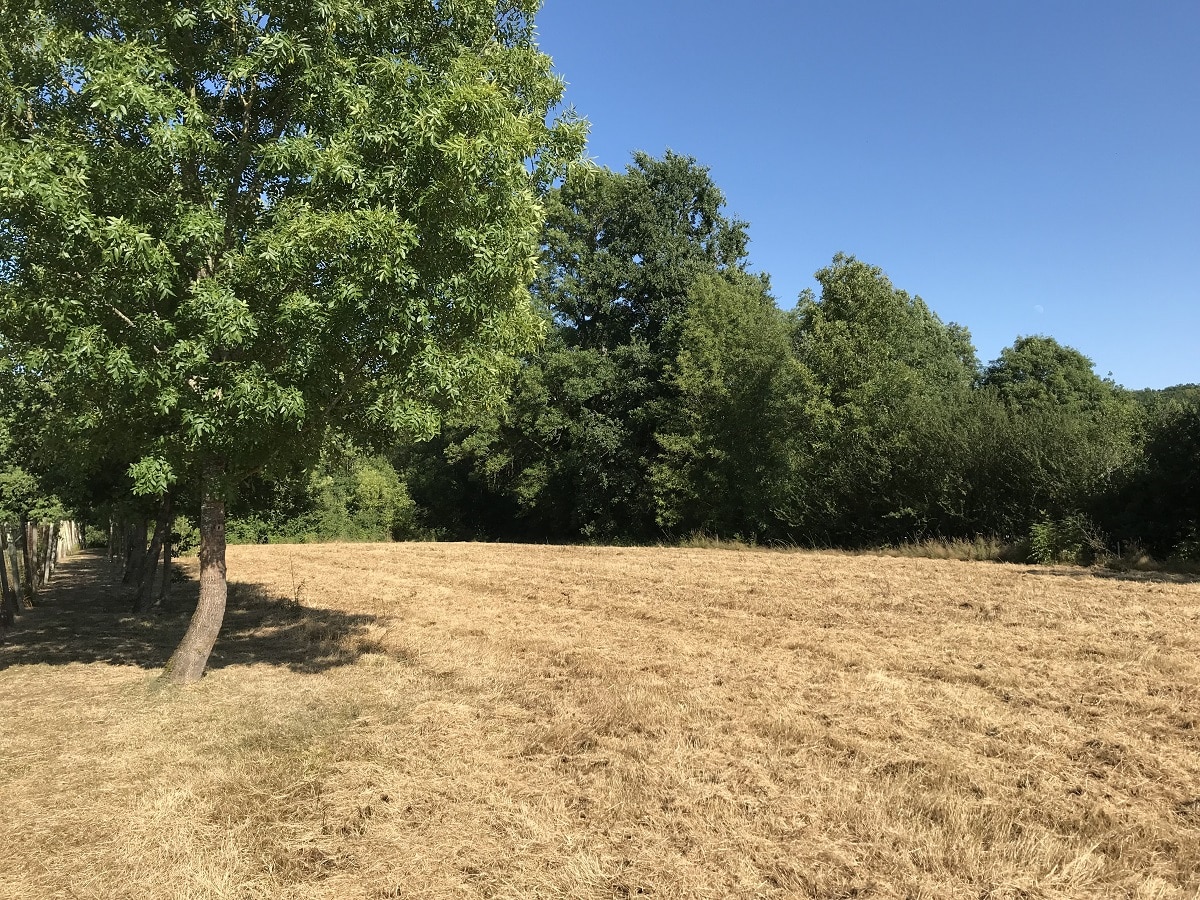 terrain-constructeur-de-maisons-individuelles-perigord-dordogne-lot-correze-gironde-maisons-aliénor-terrain