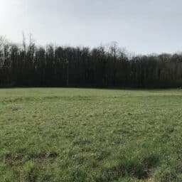 terrain-constructeur-de-maisons-individuelles-perigord-dordogne-lot-correze-gironde-maisons-aliénor-terrain