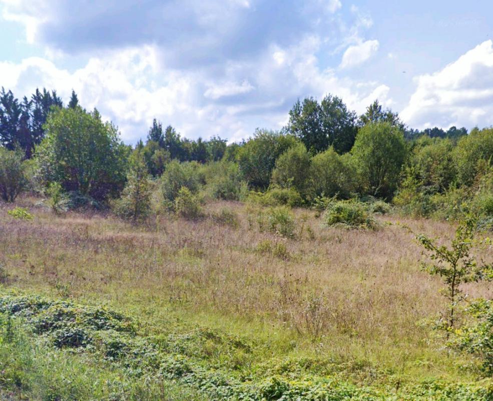 Terrain à Nabirat de 10 000 m² dans un environnement verdoyant et calme.