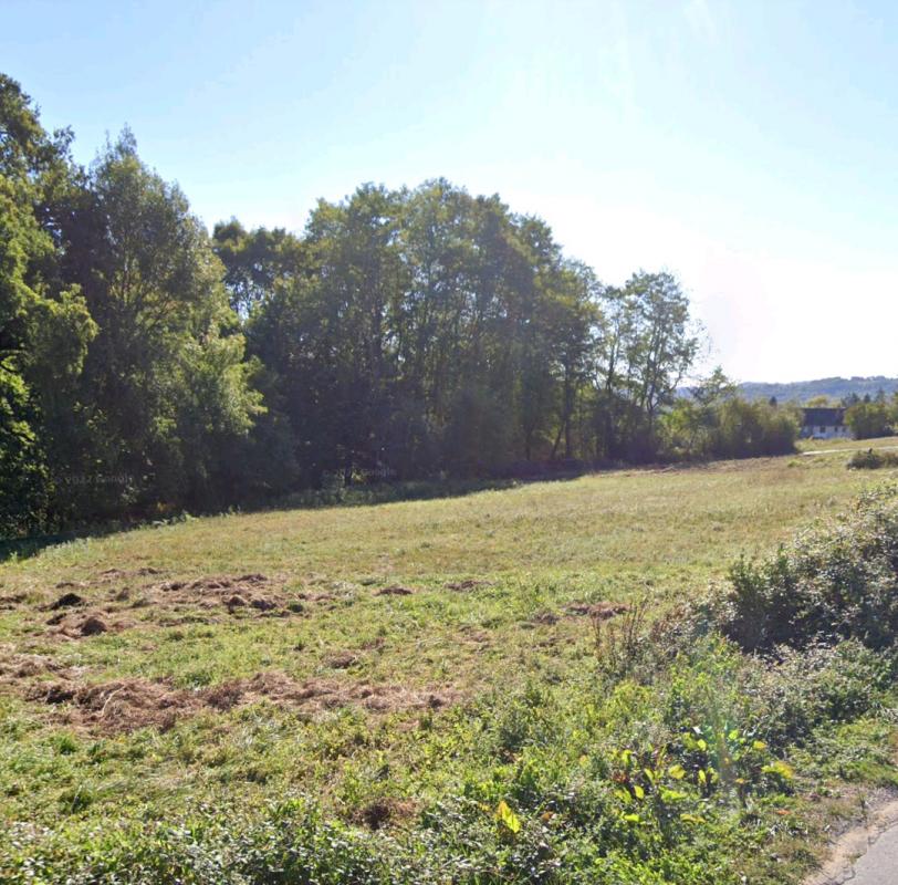 Terrain à Terrasson-Lavilledieu de 1200 m², plat et verdoyant.