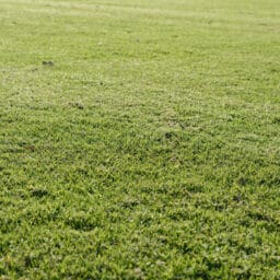 Terrain à Peyrignac de 1130 m² situé en campagne et au calme.