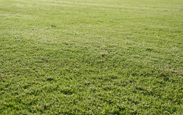 Terrain à Peyrignac de 1130 m² situé en campagne et au calme.