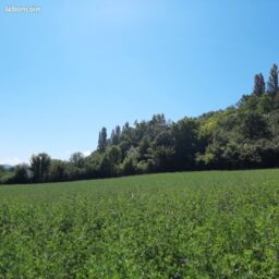 Terrain à Pazayac de 1000 m², situé sur les hauteurs de la commune.
