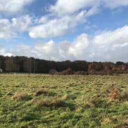 terrain-constructeur-de-maisons-individuelles-perigord-dordogne-lot-correze-gironde-maisons-aliénor-terrain