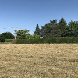 terrain-constructeur-de-maisons-individuelles-perigord-dordogne-lot-correze-gironde-maisons-aliénor-terrain