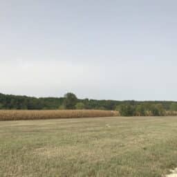 terrain-constructeur-de-maisons-individuelles-perigord-dordogne-lot-correze-gironde-maisons-aliénor-terrain