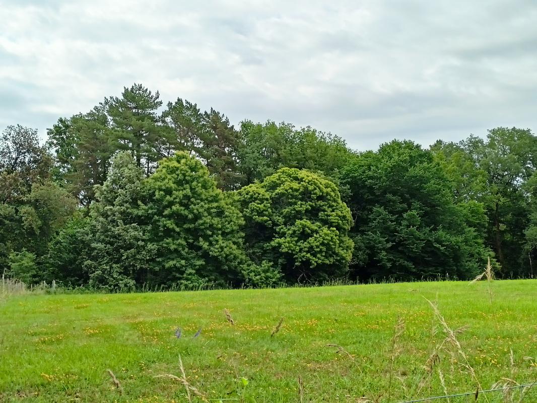Terrain de 2000 m² à Simeyrols dans un quartier calme et verdoyant.