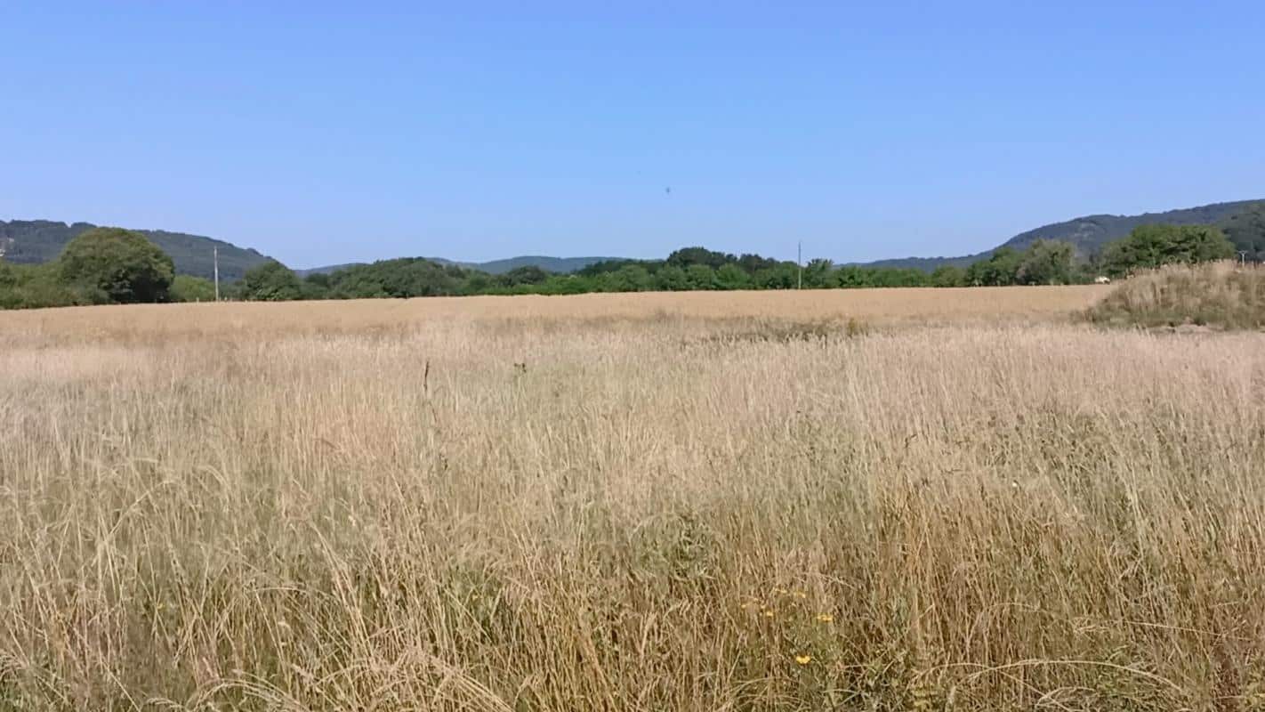 Terrain à Peyrillac et Millac de 1100 m² situé à 20 km de Sarlat.