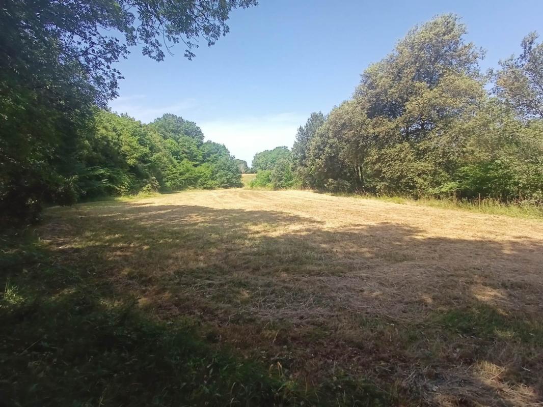 Terrain à Carlux de 1700 m² , plat et isolé.