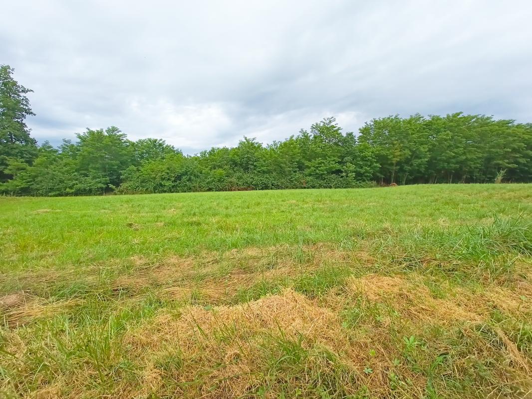 Terrain de 1500 m² à Montignac-Lascaux, situé en campagne au calme.